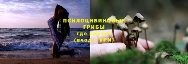 альфа пвп Краснослободск