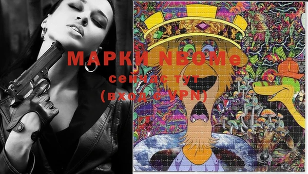 прущие грибы Алзамай