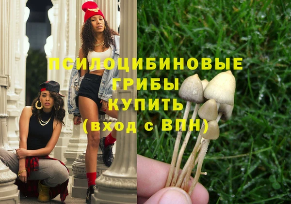 амф Алексин
