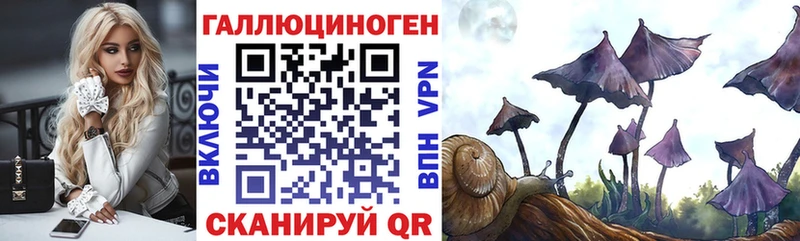 Псилоцибиновые грибы Cubensis  наркота  Новосибирск 
